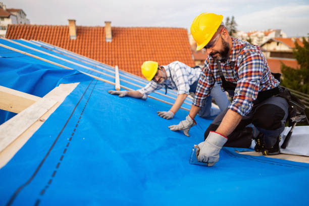 Roof Coating Services in Kodiak Station, AK